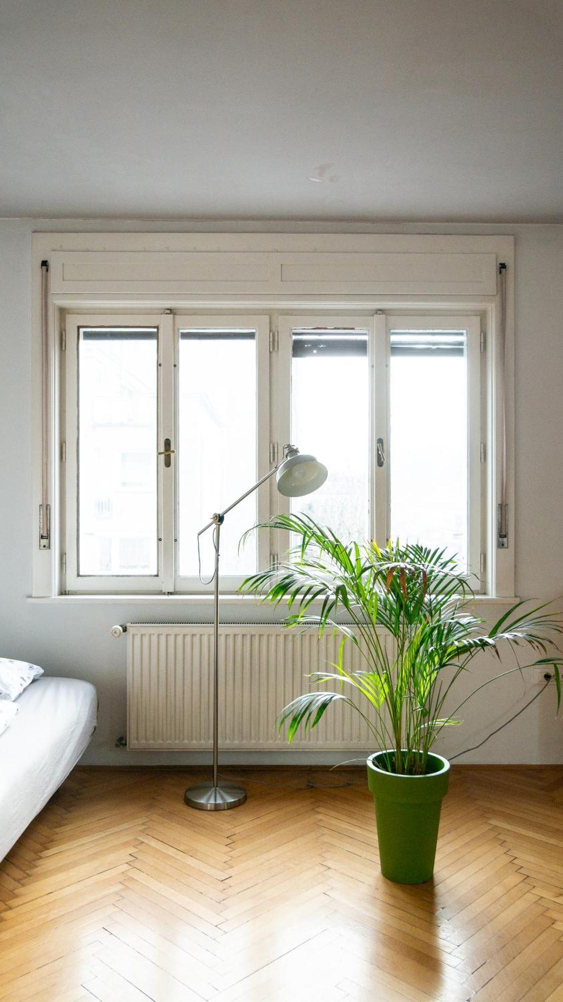 Family Friendly In The Center Apartman *